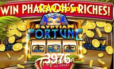 Casino Ao Vivo 3976